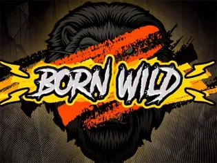 Born Wild game icon